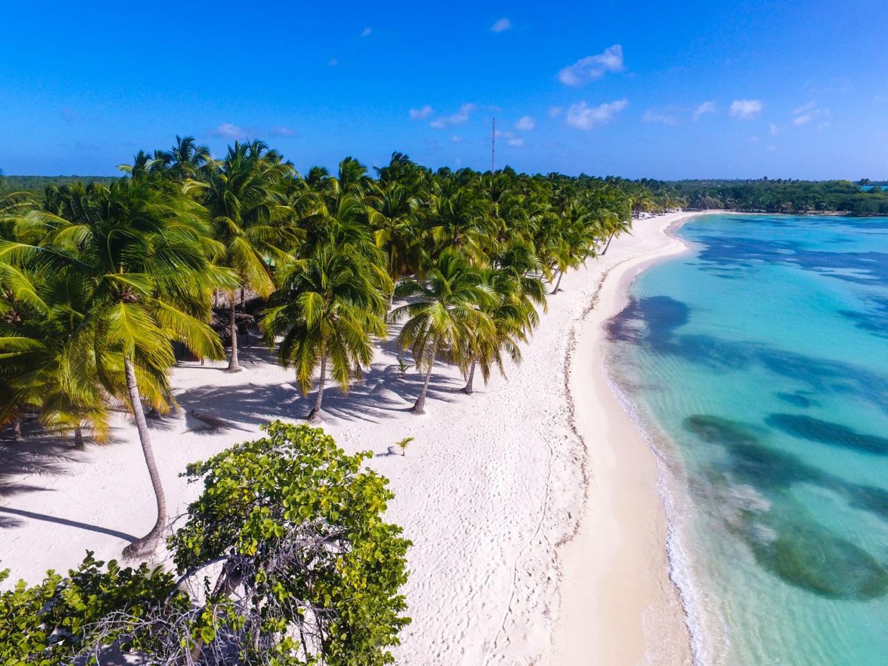 Saona Island gallery photo 24